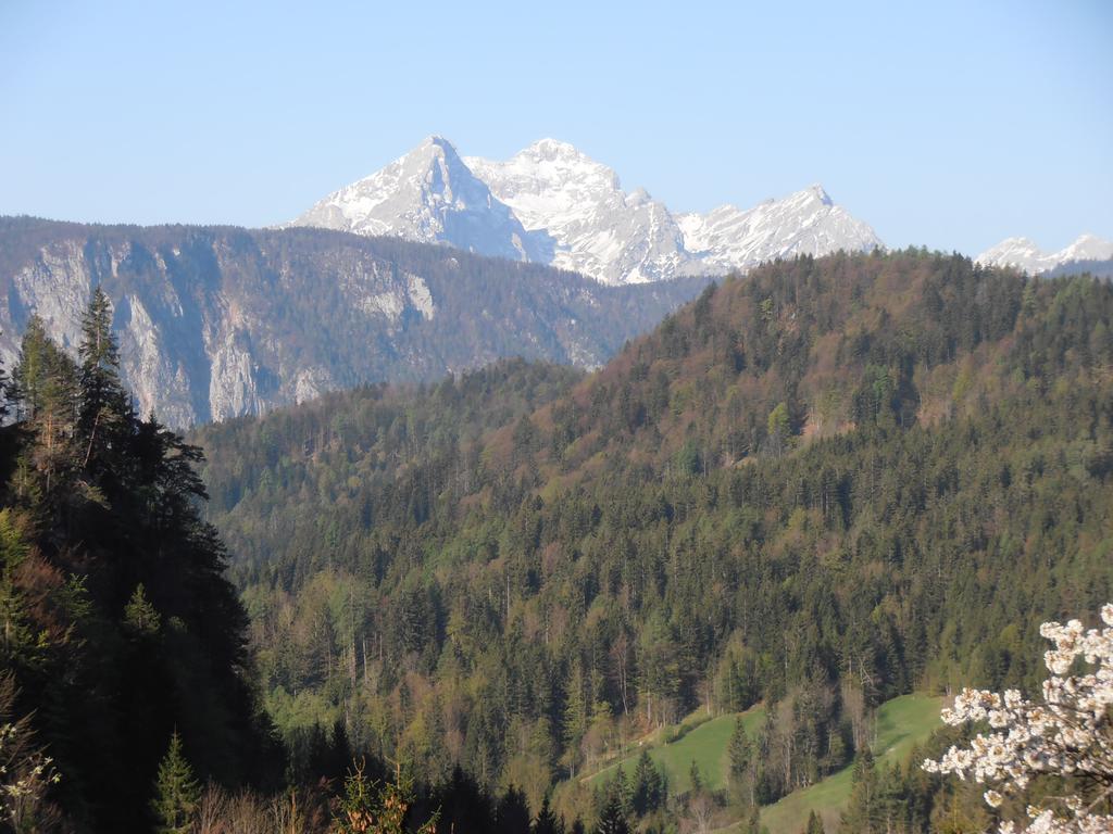 Penzion Pr' Betel Jesenice Exterior photo